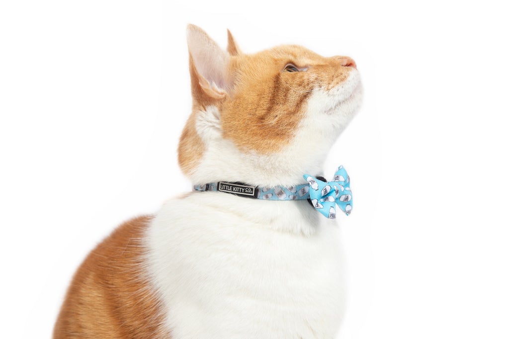 Milk Collar & Bow Tie