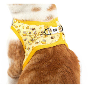 Bee-Hiving Harness