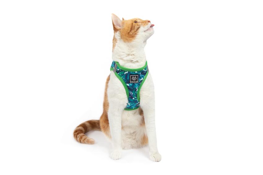 Vacay Palms Harness