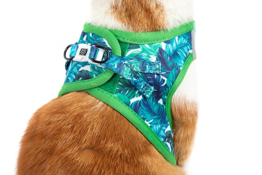 Vacay Palms Harness