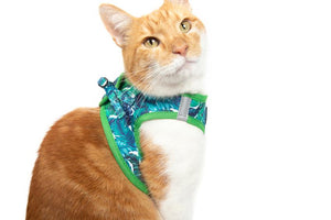 Vacay Palms Harness
