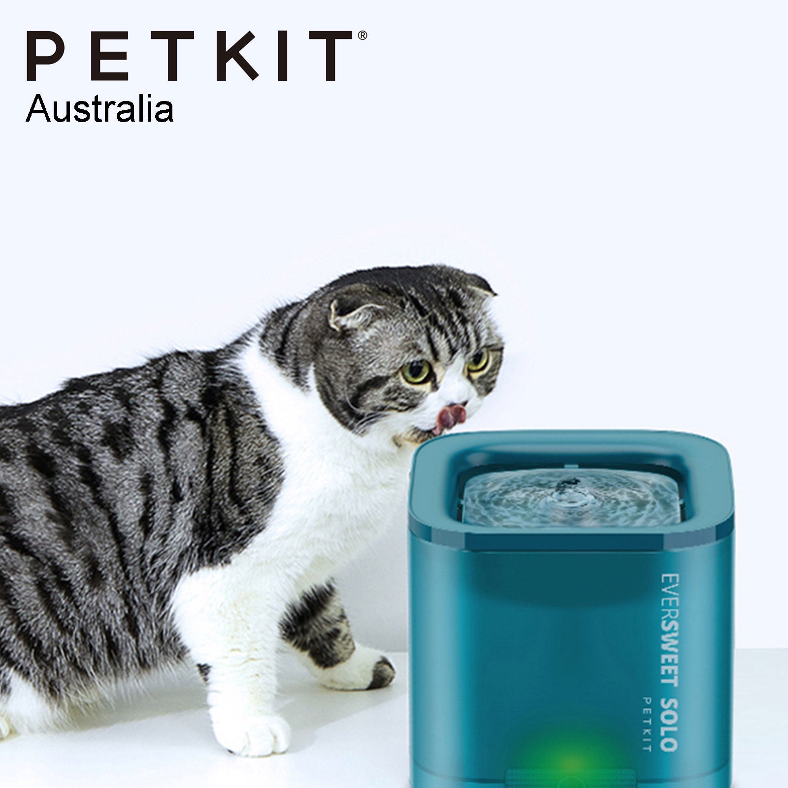 PETKIT Eversweet Solo Water Drinking Fountain - BLUE