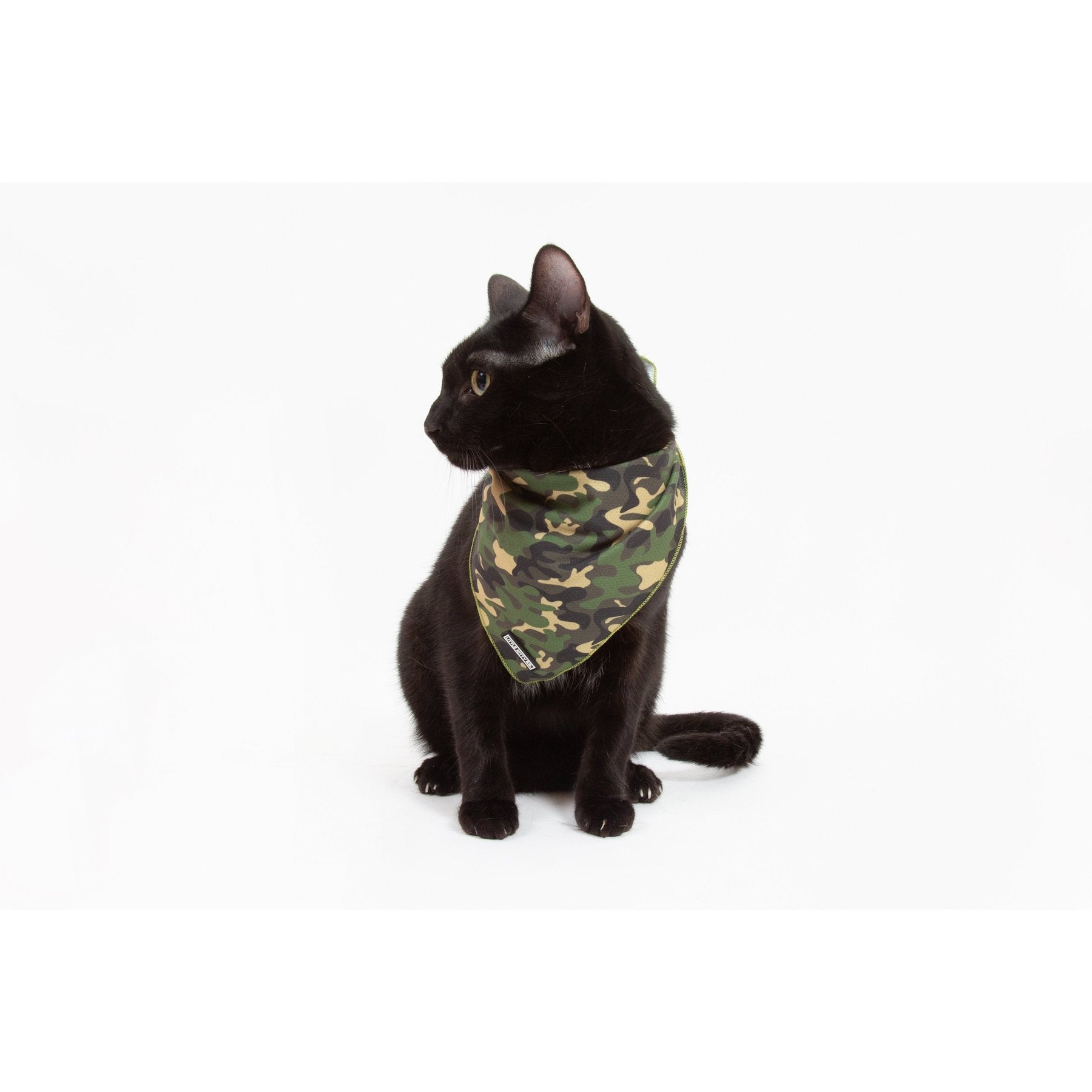 Cool Cat Camo Bandana