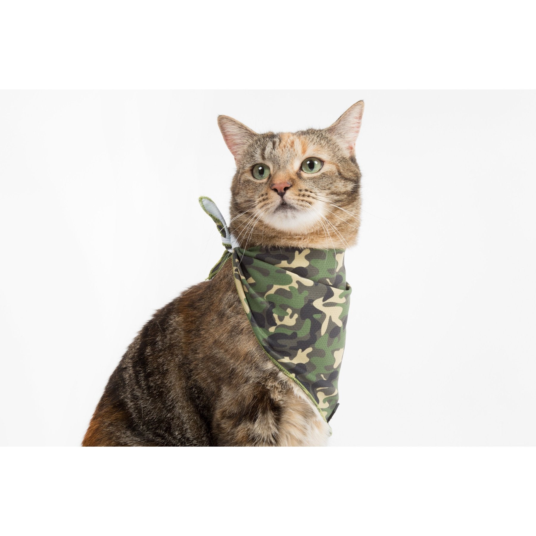 Cool Cat Camo Bandana