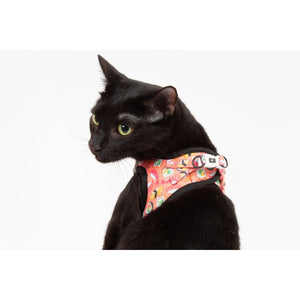 Sashimi Harness