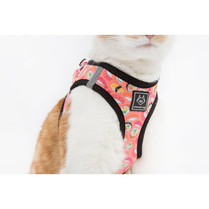 Sashimi Harness