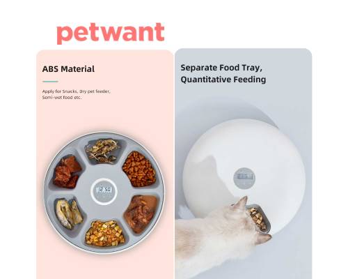PETWANT F6 Donuts Smart Automatic 6 Meals Pet Feeder