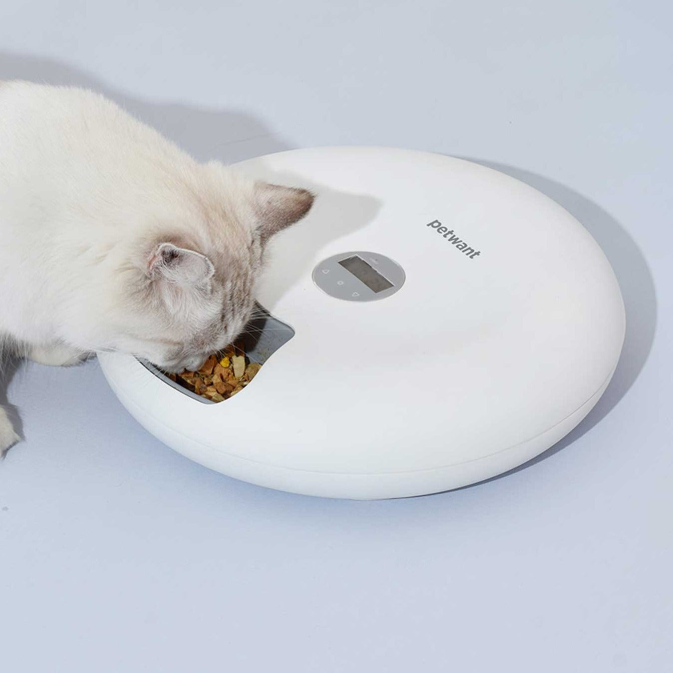 PETWANT F6 Donuts Smart Automatic 6 Meals Pet Feeder