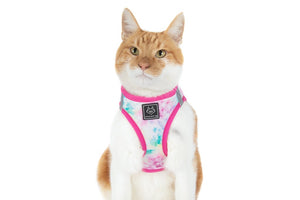 Cotton Candy Harness
