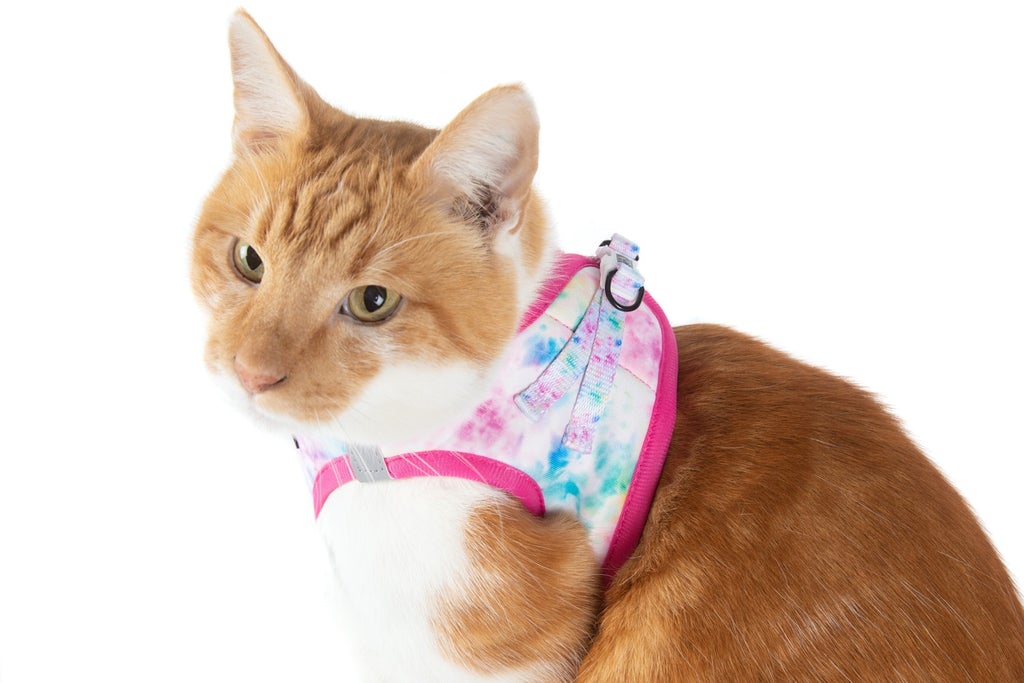 Cotton Candy Harness